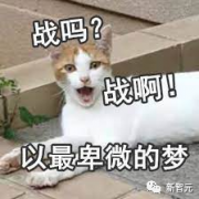 漫画拖更将成历史？首部AI图文小说问世：一小时画一页