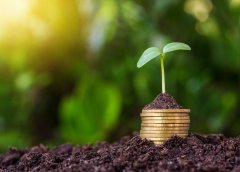 融资新闻 | Web3 流媒体平台 Stacked 完成 1300 万美元 A 轮融资，Pantaera Capital 领投