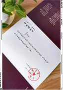 国内首位 AI 虚拟人当 CEO，还有成功入学上音的！网友：这下老板真不是“人”