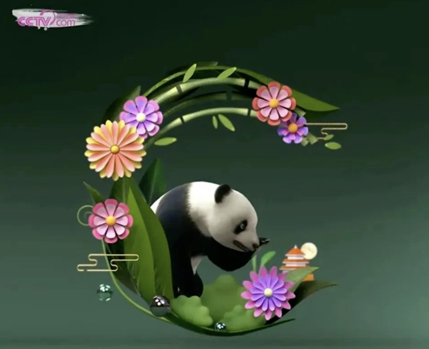 来源：央数藏