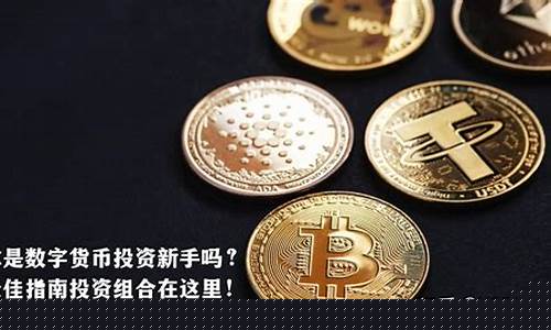 中国什么是数字货币(数字货币靠什么盈利)