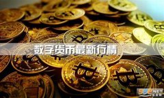 数字货币消息快讯(数字货币wgt)