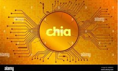 xch是什么数字货币(XCH是什么意思)