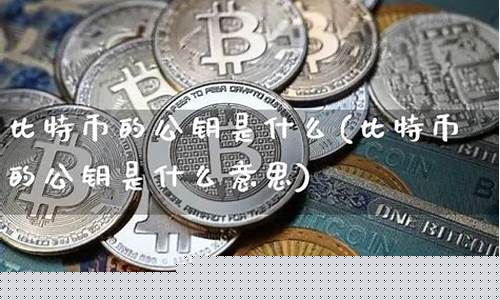 数字货币公钥是什么(数字货币公测)