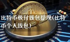 比特币极付钱包(比特币极付钱包安全吗)