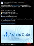 Alchemy Pay推出L1 Alchemy Chain:推行ACH支持法币汇兑 Alchemy Pay推出L1 Alchemy Chain:推行ACH支持法币汇兑