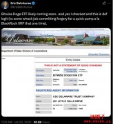Bitwise提交狗狗币ETF申请，迷因币ETF遍地开花
