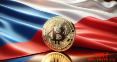 捷克国家银行考虑将5% 储备资产投资比特币