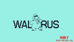 Walrus/WAL币是什么？WAL空投、代币经济学及未来展望