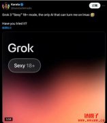 <b>Grok3推出性感模式，让AI与人类调情为何引担忧？</b>