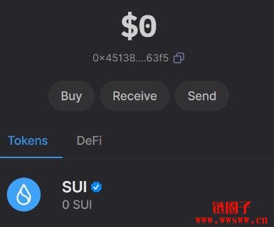 Sui常用钱包有哪些？Sui钱包教学(主要以Suiet为例)