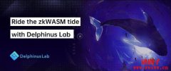什么是Delphinus Lab(ZKWASM) 什么是Delphinus Lab(ZKWASM)