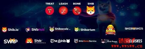 柴犬币2025年8月价格预测：SHIB在下跌21%后能否反弹？