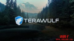 比特币矿企TeraWulf获Googl