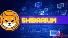 为何投资柴犬币？Shibarium平台是关键