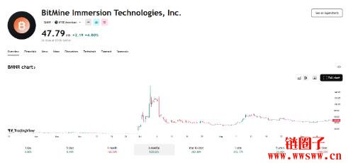 Cathie Wood大力支持，方舟成BitMine最大股东