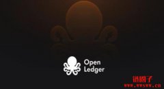 OpenLedger/OPEN币是什么？OPEN价格走势分析及未来前景展望